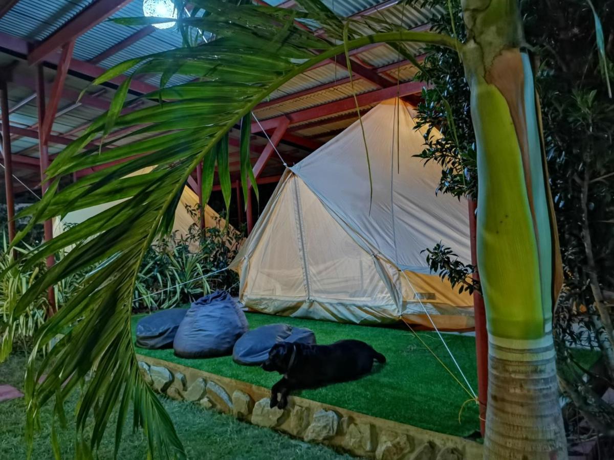 Glamping Alona Daire Panglao Dış mekan fotoğraf